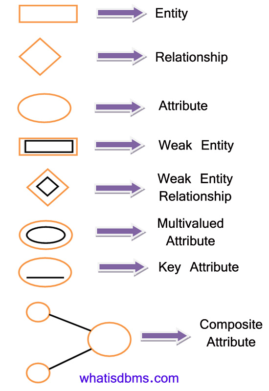 E R Diagrams In DBMS Components Symbols And Notations