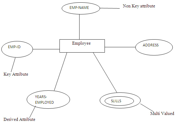 What is an Attribute and it's types with Examples