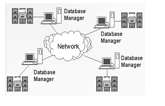 database management system