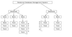 Types And Classification Of Database Management System