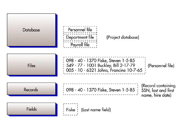 Database fields