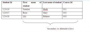 Alternative Key