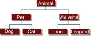 Hierarchical model in DBMS