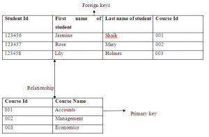 Primary Key and Foreign Key Relationship | What is Dbms