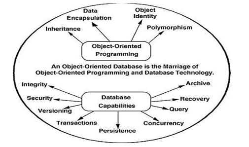 free relational database software windows