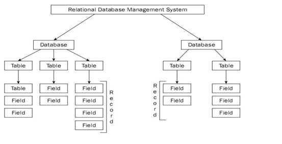 Types And Classification Of Database Management System
