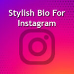 stylish-bio-for-instagram